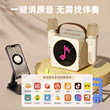 Puzhi karaoke audio microphone bluetooth speaker for children