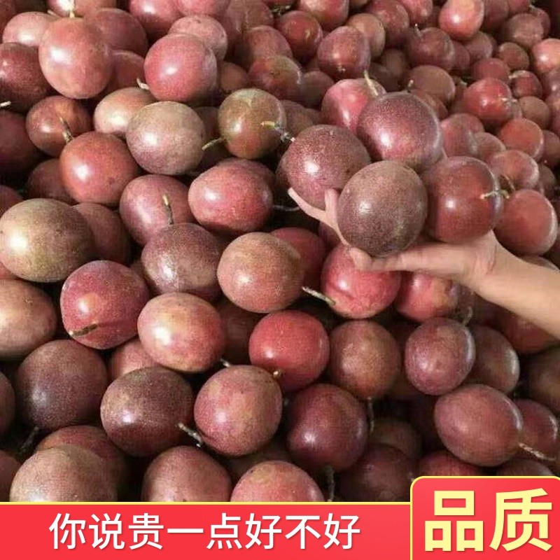 果不让旗舰店云南百香果新鲜包邮5斤大果整箱西番莲原浆白现摘水果鸡蛋果10斤0