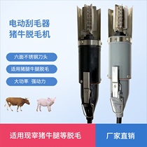 Electric scraping pig hair planter to hair plucking woolen deity Slaughtered Special Pig Hooch Pork Head Meat Shave Hair Shave Tool Hair Removal Tool