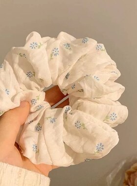 2025春夏新款森系碎花大肠发圈头绳女韩系温柔高颜值发绳发饰