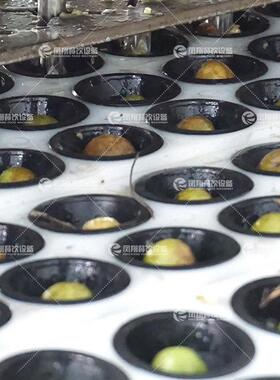 凤翔 全自动油柑去核机水果去核分瓣机 果蔬去核机 油柑去核机