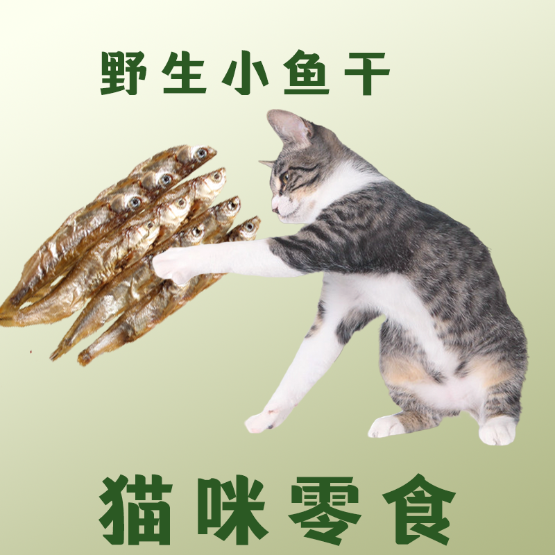 猫零食小鱼干500g淡水猫咪吃的鱼条幼猫补钙磨牙营养增肥猫粮-图2