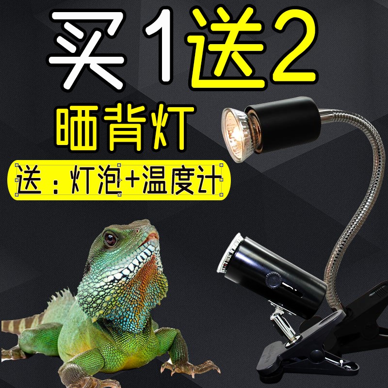 乌龟晒背灯爬虫加热灯泡全光谱太阳灯uva+uvb3.0加温补钙杀菌套装 - 图1