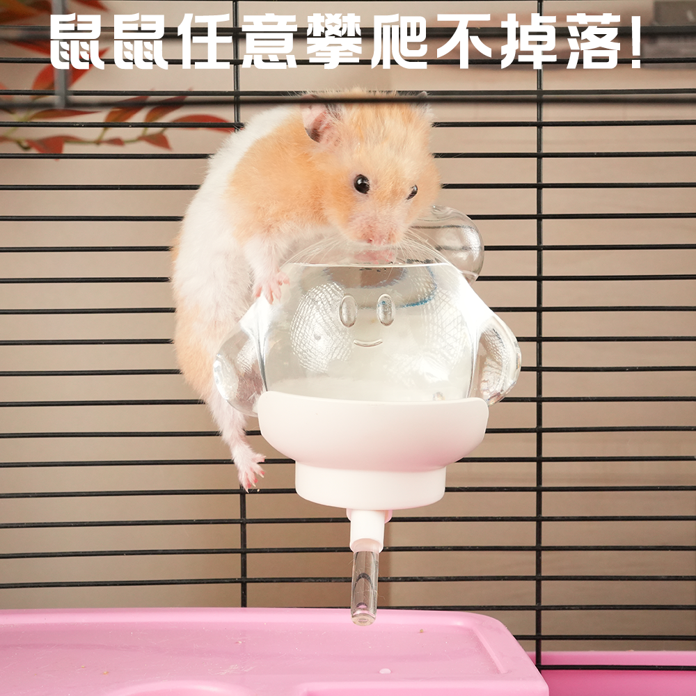 卡诺仓鼠磁吸水壶金丝熊铁丝亚克力笼饮水器玻璃吸盘喝水器220ml,淘宝优惠券,粉丝福利购,淘宝优惠卷