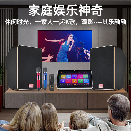 丹唛仕户外链接电源家庭KTV音响套装点歌机K歌卡拉ok影院音箱全套 - 图1