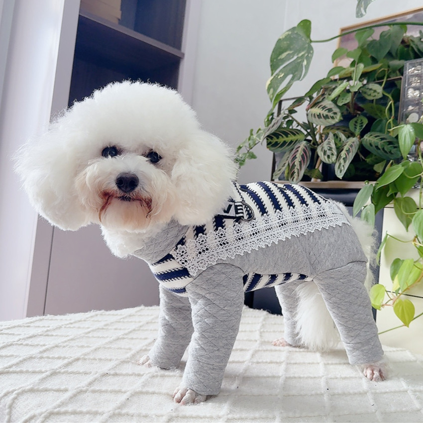 安班公母狗犬秋冬夹棉中厚保暖包肚四脚衣泰迪比熊双排扣全棉牵引,淘宝优惠券,粉丝福利购,淘宝优惠卷