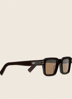 ZEGNA杰尼亚深棕色太阳镜