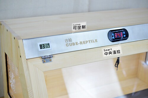 实木爬虫箱陆龟蜥蜴鬃狮蜥芦丁鸡养殖箱雨林缸缸斜面饲养箱生态缸 - 图1