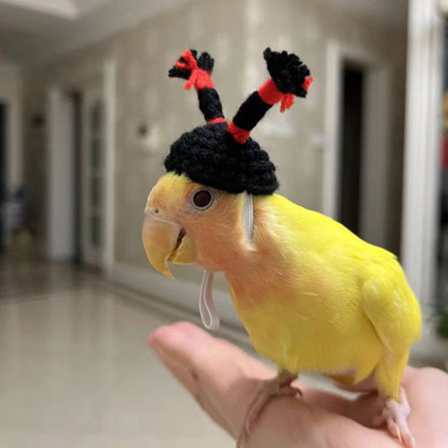 虎皮玄凤牡丹鹦鹉鸟戴的帽子宠物毛线钩针针织小帽子头饰品头套 - 图1