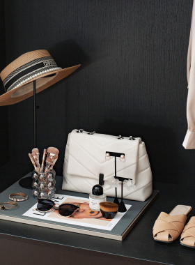 样板间女士衣帽间衣柜女包首饰托