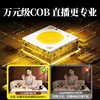 Beiyang live broadcast room high power fill light
