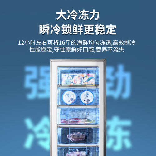 荣事达立式冰柜家用抽屉全冷冻冰箱小型一级能效母乳储奶保鲜冷柜-图2