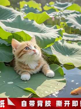 可爱猫猫装饰贴画浴室防水墙贴