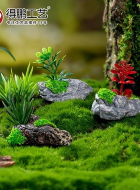 2026微景观创意盆栽迎客松小盆景diy园艺生态瓶装饰品配件桌面小