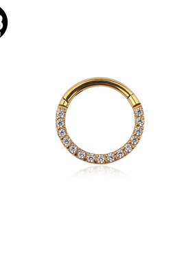 G23 Titanium Daith Earrings Hoop CZ Hinged Segment Clicker