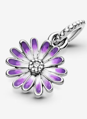 2022 New 925 Sterling Silver Moments Charms fit Original