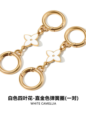适用coach蔻驰Laurel流浪包延长链托特腋下包肩带改造加长链配件