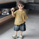 Boys summer style Korean short-sleeved denim shorts set two-pieces