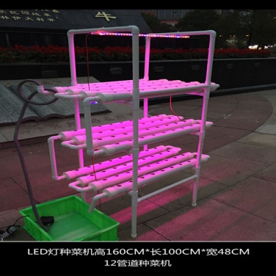 12管道水培 新人首单立减十元 21年7月 淘宝海外