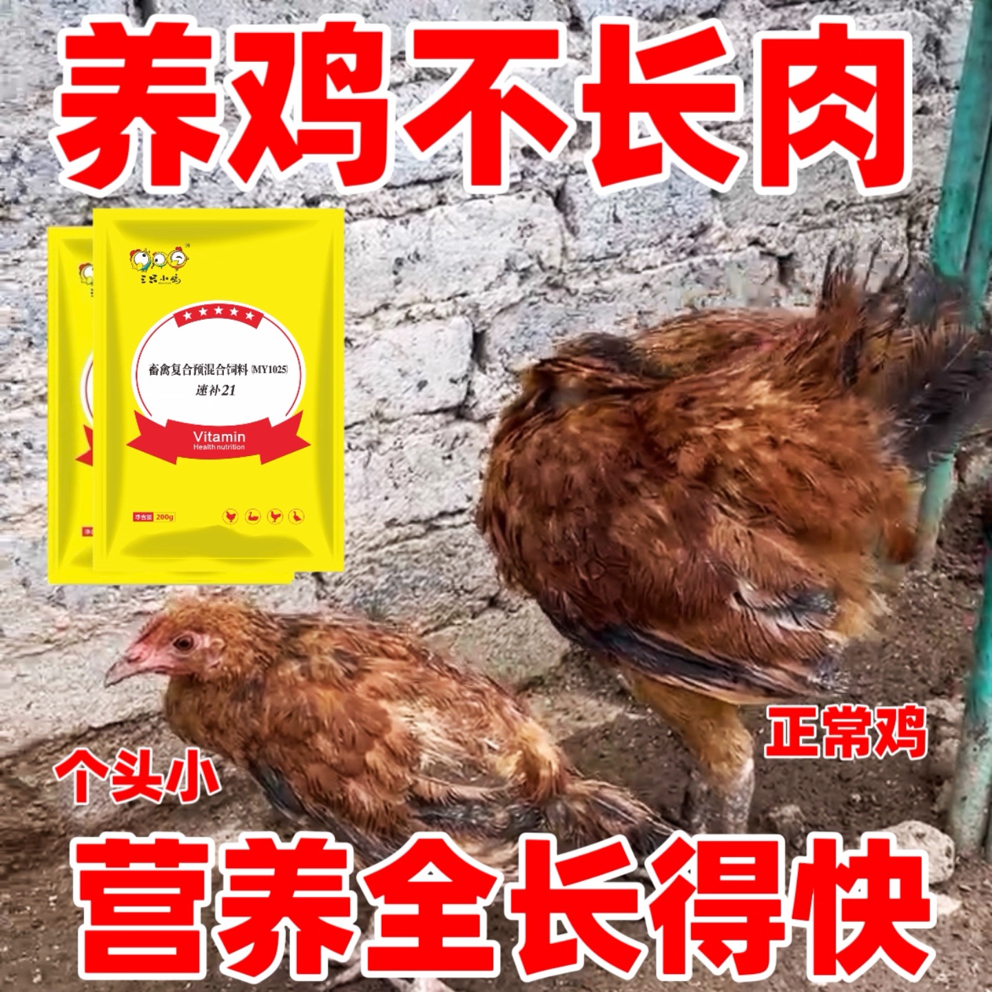 速补21多维兽用维生素增蛋促生长鸡秃背掉毛鸡掉毛专用鸡脱毛专用 - 图0