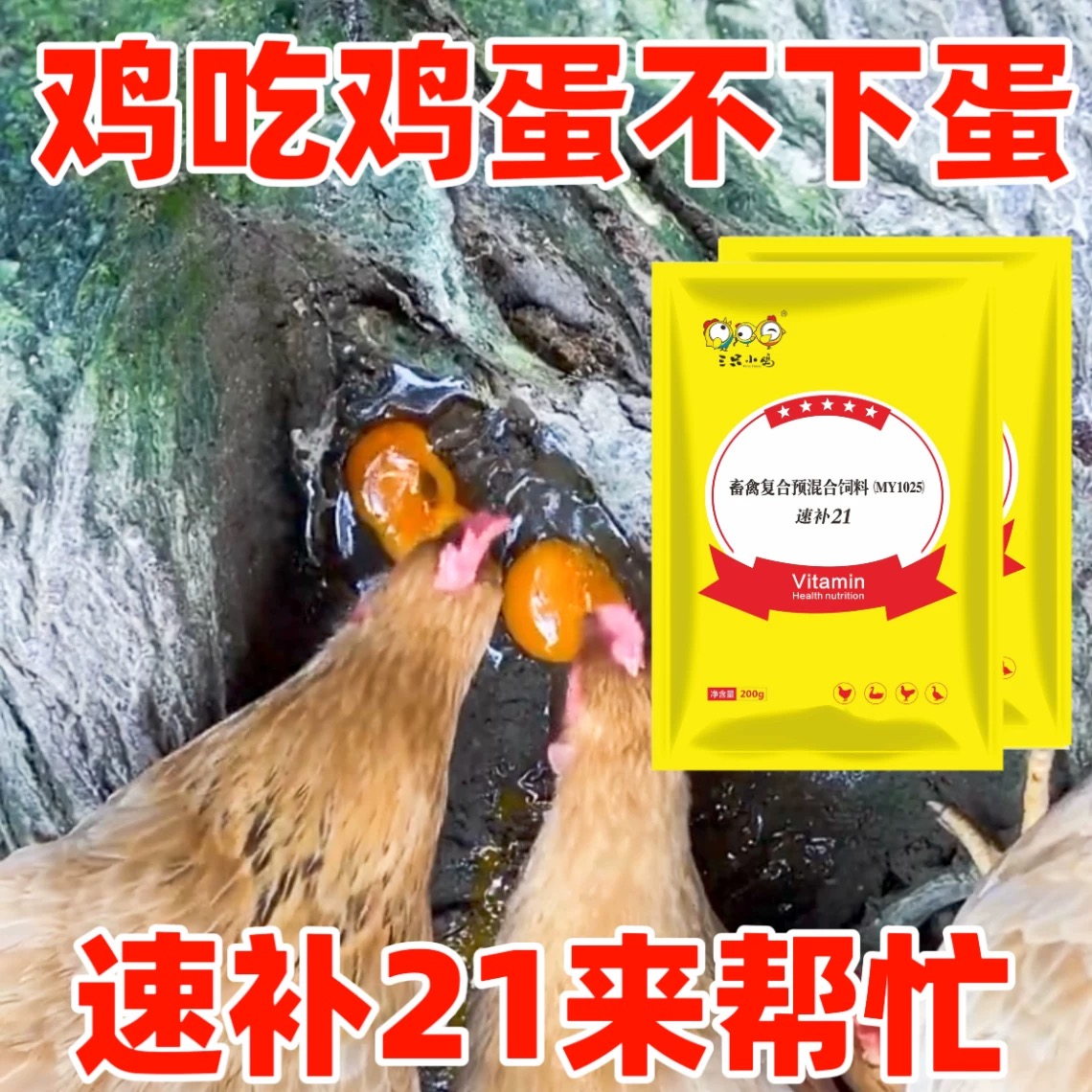 速补21多维兽用维生素增蛋促生长鸡秃背掉毛鸡掉毛专用鸡脱毛专用 - 图1