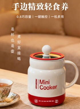 电炖杯多功能养生杯家用迷你全自动电炖锅一人食煲汤热奶煮粥小锅