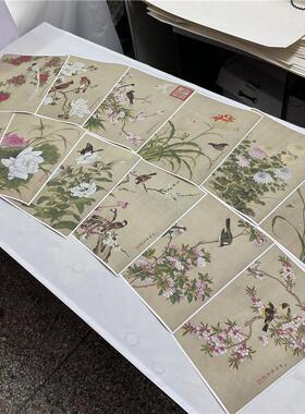 余穉余稚花鸟图册十二页R 工笔花卉鸟虫册页微喷复制临摹画稿