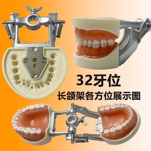 牙科备牙模型口腔考试学生练习制备窝洞嵌体冠可R拆卸牙齿开髓排 - 图0