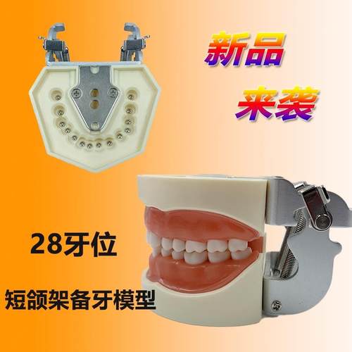 牙科备牙模型口腔考试学生练习制备窝洞嵌体冠可R拆卸牙齿开髓排 - 图2