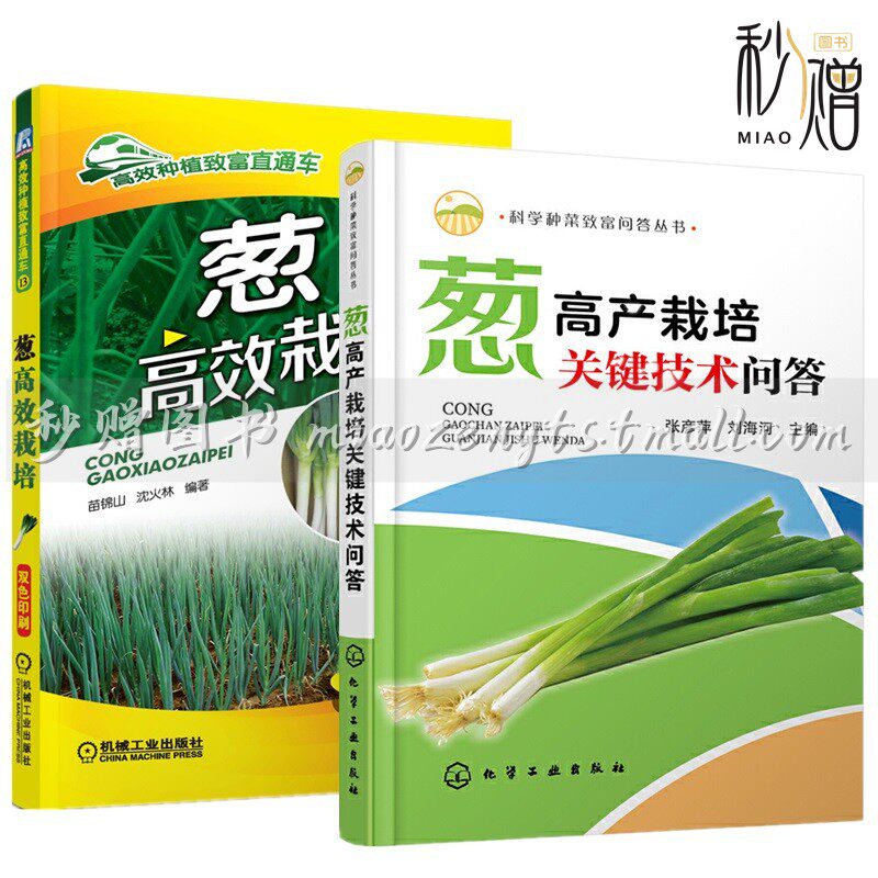 葱种子种植 新人首单立减十元 21年7月 淘宝海外