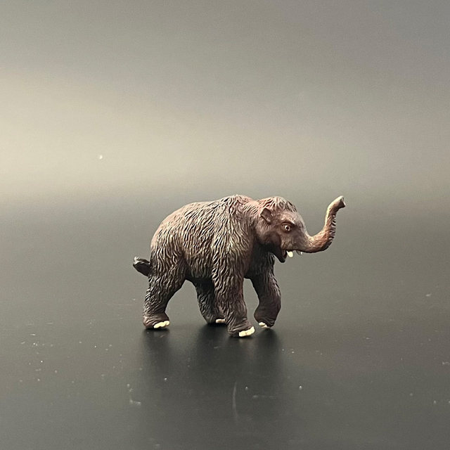 CollectA African Elephant 2022