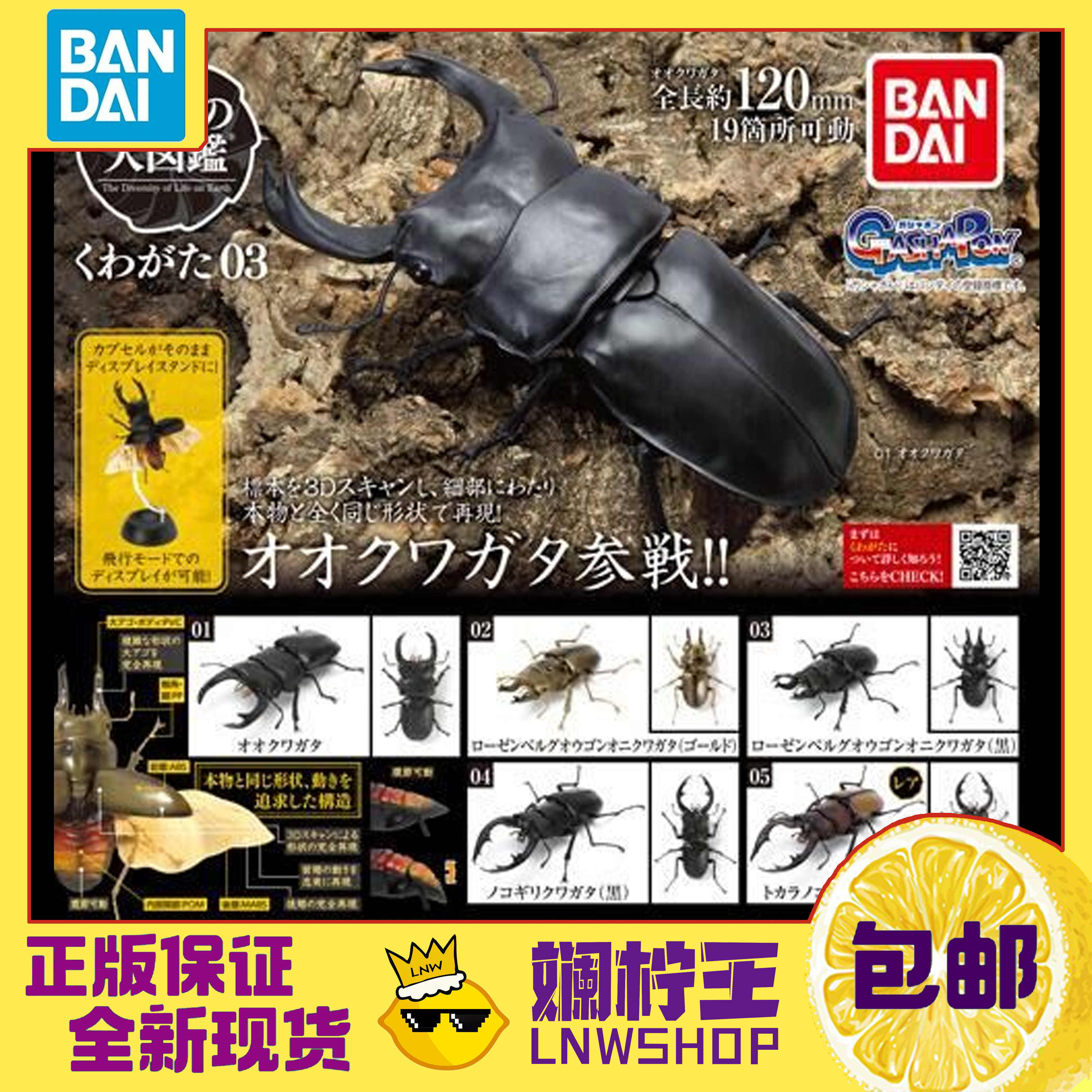 21特集 黒 高階救命器具 プラスチック黒球 Www Ilr Ro