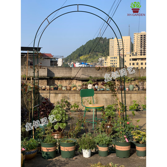 特价包邮简易铁艺拱门花架爬藤架攀爬架葡萄拱形蔷薇月季庭院园艺
