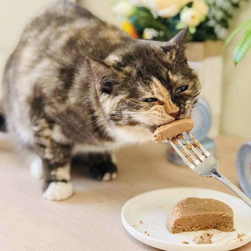 METZ玫斯全价主食猫罐头云朵猫粮成幼猫咪湿粮罐营养85g - 图3