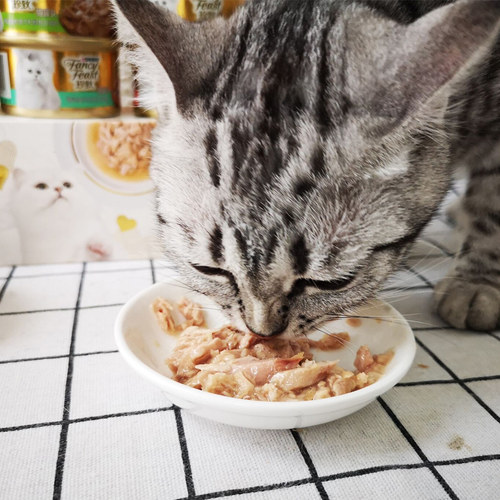 泰国进口 珍致猫罐头24罐整箱猫零食成猫幼猫湿粮宠物营养食品 - 图2