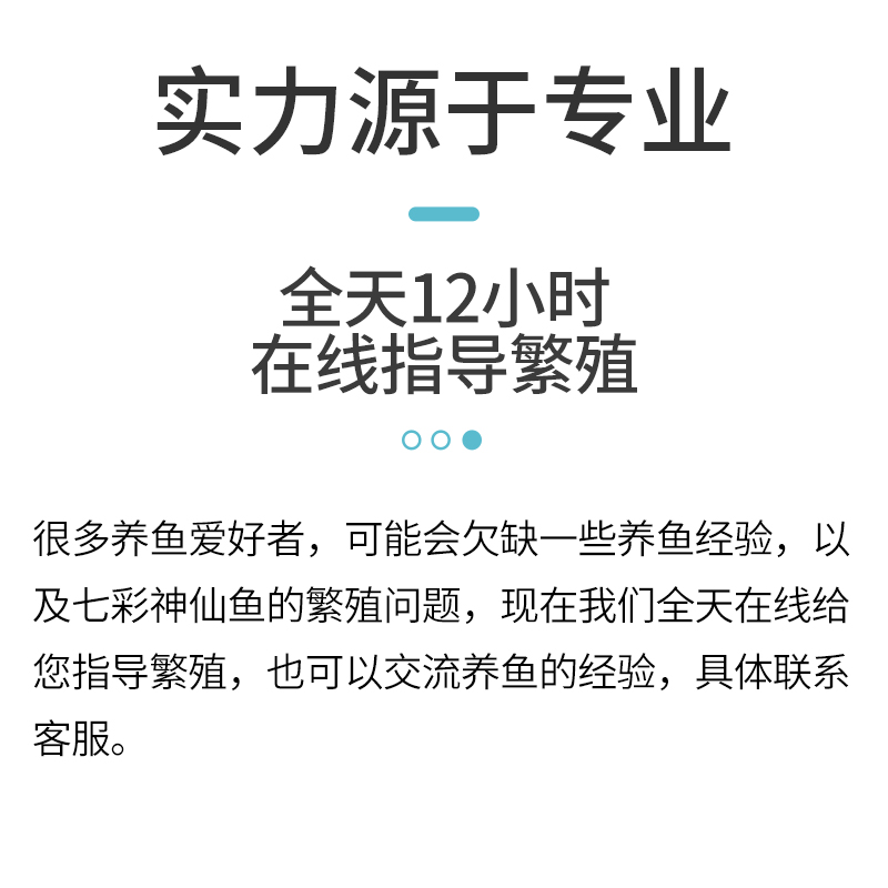 七彩神仙鱼繁殖桶产卵罐燕鱼孵化器神仙鱼产卵桶陶罐紫砂隔离网罩 - 图0