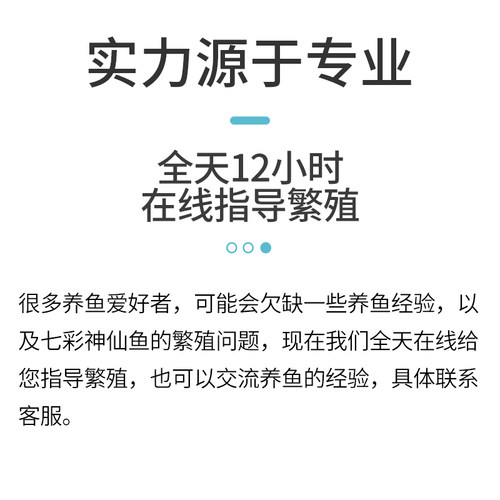 七彩神仙鱼繁殖桶产卵罐燕鱼孵化器神仙鱼产卵桶陶罐紫砂隔离网罩-图0