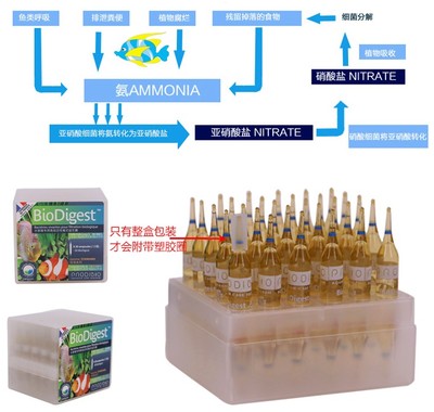 法国科迪硝化细菌鱼缸水质稳定剂水族箱净水剂益生菌开缸硝化细菌 - 图2