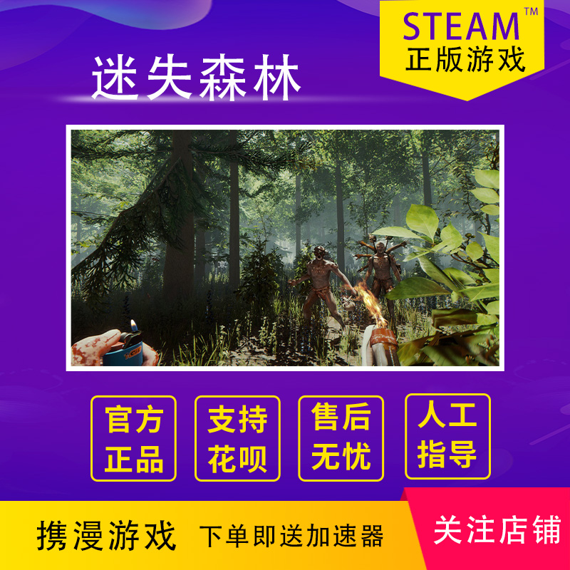 steam 迷失森林The Forest 全新 正版 白号 成品号 小号 一切可改 - 图2