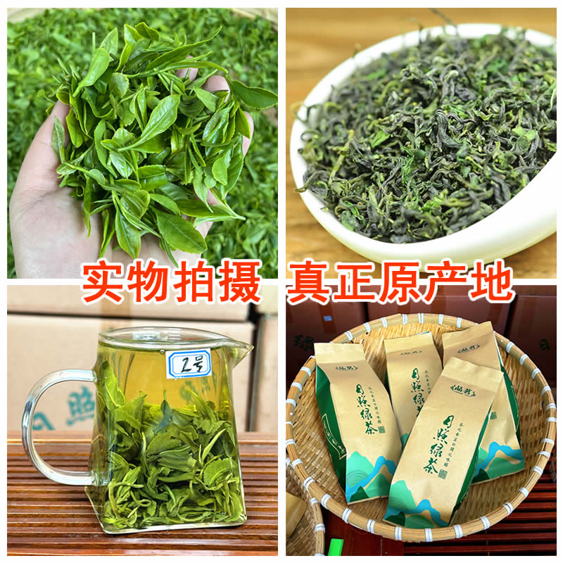 山东日照绿茶今年新茶春茶浓香型500g板栗香耐泡味浓袋装原产地 - 图0