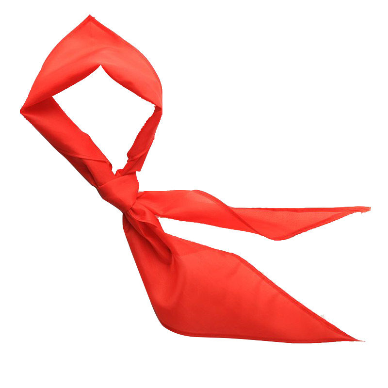 小学生红领巾通用标准加长亮丽尼龙绸1.2米少先队员不掉色10条装,淘宝优惠券,粉丝福利购,淘宝优惠卷