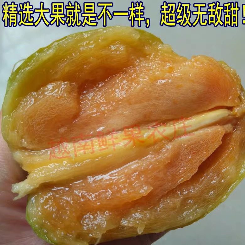 泰国品种一级大人心果非人参果非常甜热带新鲜水果孕妇宝宝果包邮,淘宝优惠券,粉丝福利购,淘宝优惠卷