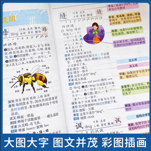 小学生全功能字典第2版彩图版小学生专用1-6年级近义词反义词组词造句大全 小学词典多功能笔顺辅导工具书新版正版字典小学生专用 - 图2