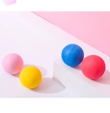 Радужная игрушка, большой резиновый прыгучий мяч, кот, домашний питомец