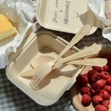 Одноразовая экологичная посуда, ложка, длинное вечернее платье