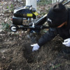 Sterk high-power gasoline micro-tiller, small rotary tiller, four-stroke orchard weeding, soil digging, trenching and scarifier