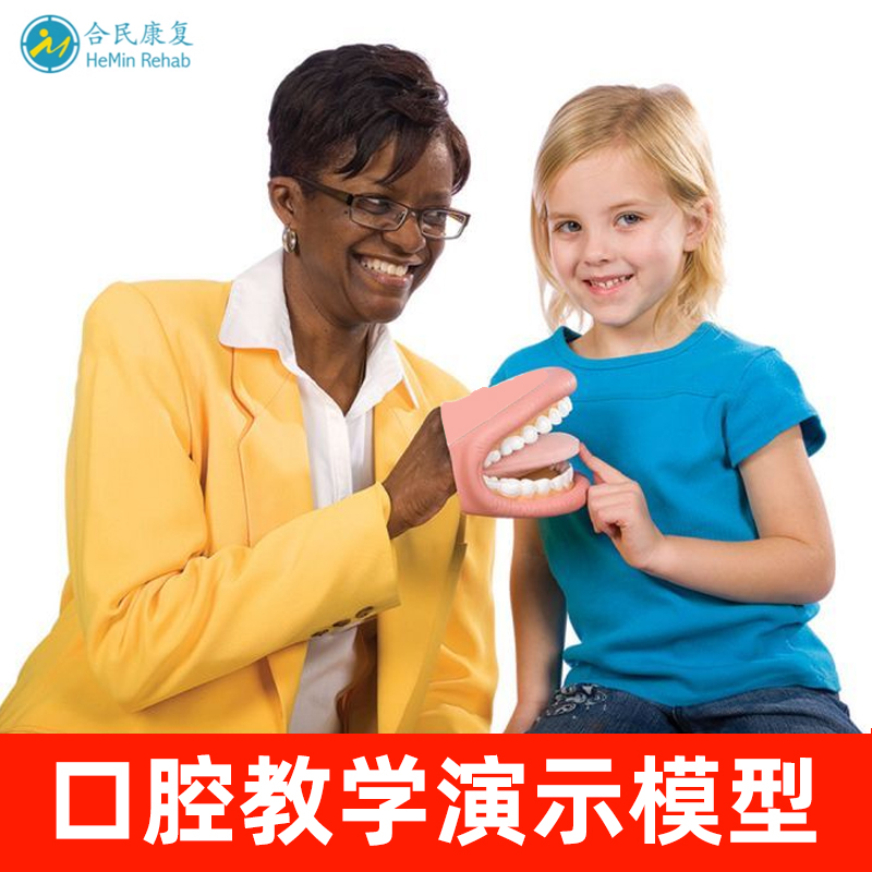口肌训练牙齿模型幼儿园早教刷牙模具言语儿童宝宝口腔教学道具 - 图1