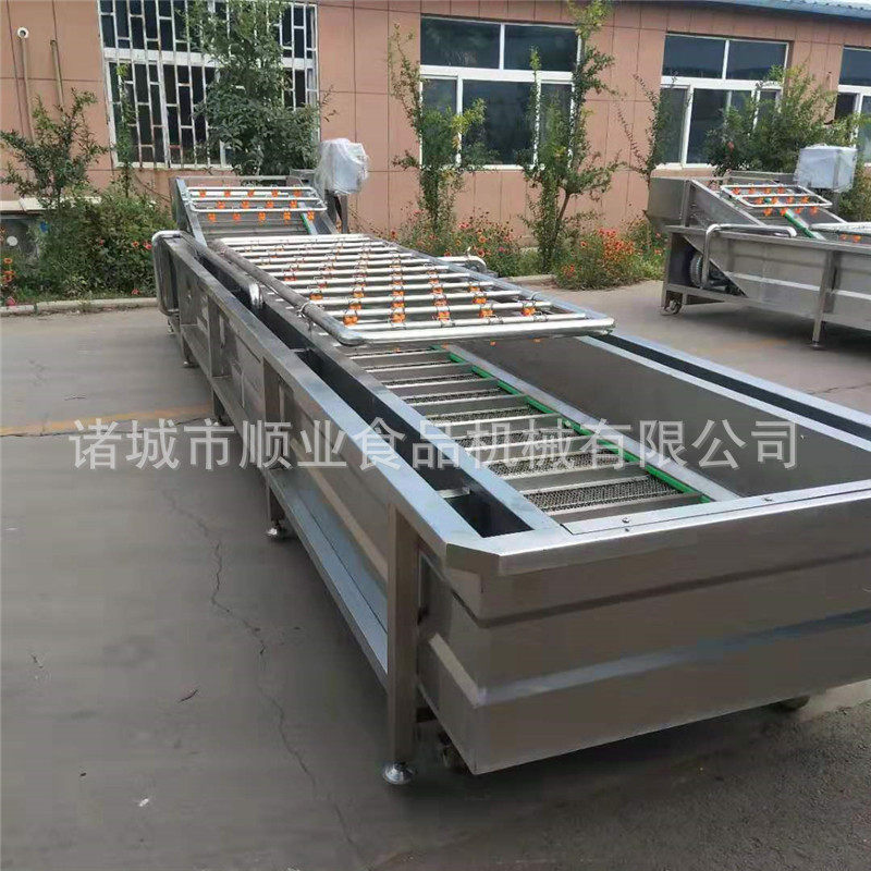 果蔬气泡清洗机 304不锈钢大枣清洗机 顺业机械葡萄气泡清洗机,淘宝优惠券,粉丝福利购,淘宝优惠卷
