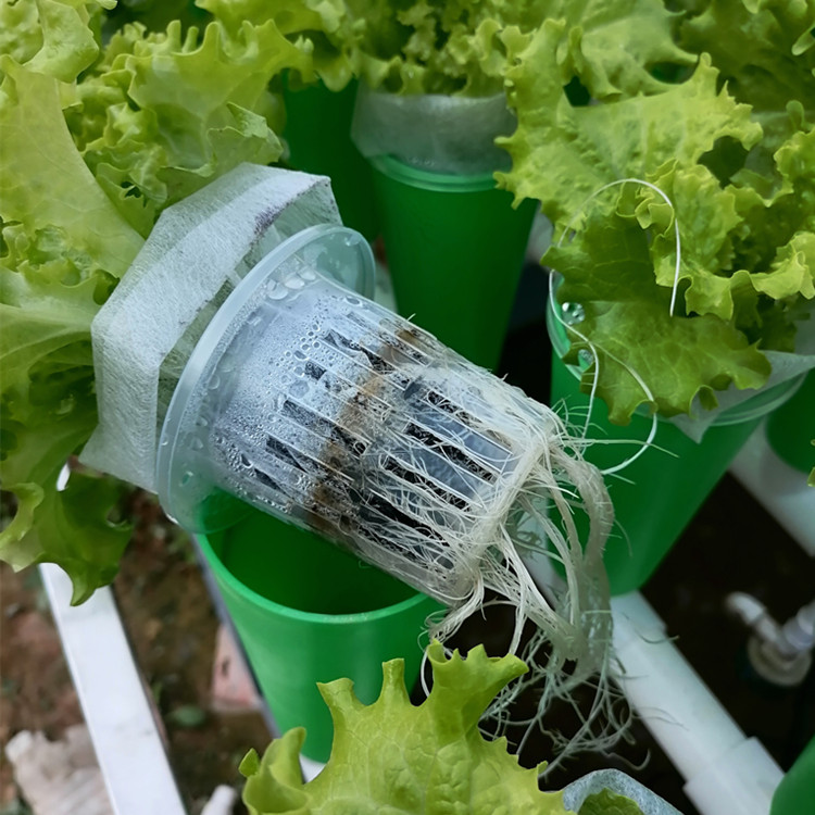 家庭鱼菜共生虹吸种植设备潮汐装置阳台种菜楼顶无土栽培设备包邮-图1