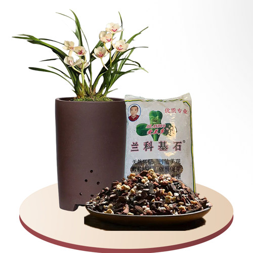兰花专用土北京爱兰多国兰蝴蝶兰石斛君子兰营养土火山岩颗粒沥水 - 图3